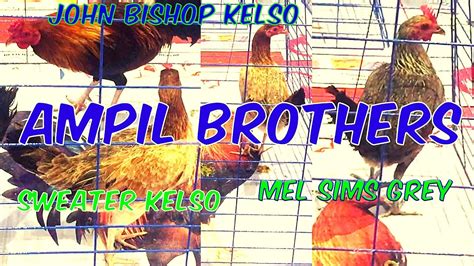 john bishop kelso fighting style|Melsims Black and Johnny Bishop Kelso Fighting Styles .